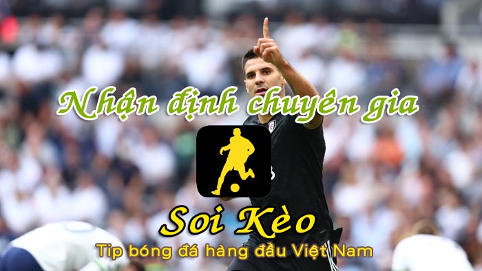 Soi Kèo Fulham - Newcastle