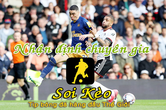 Soi Kèo Newcastle - Fulham
