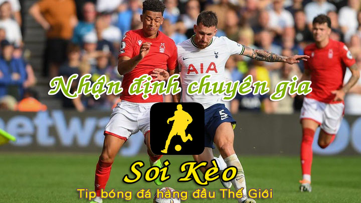 Soi Kèo Tottenham - Nottingham