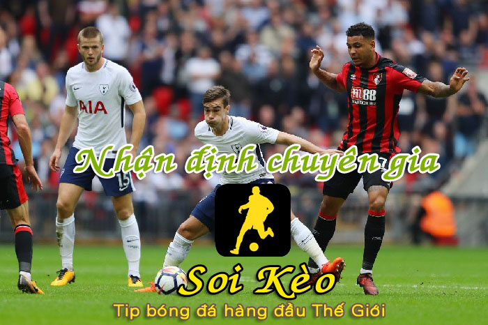 Soi Kèo Tottenham - Bournemouth