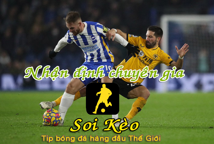 Soi Kèo tip bóng đá Brighton - Wolves